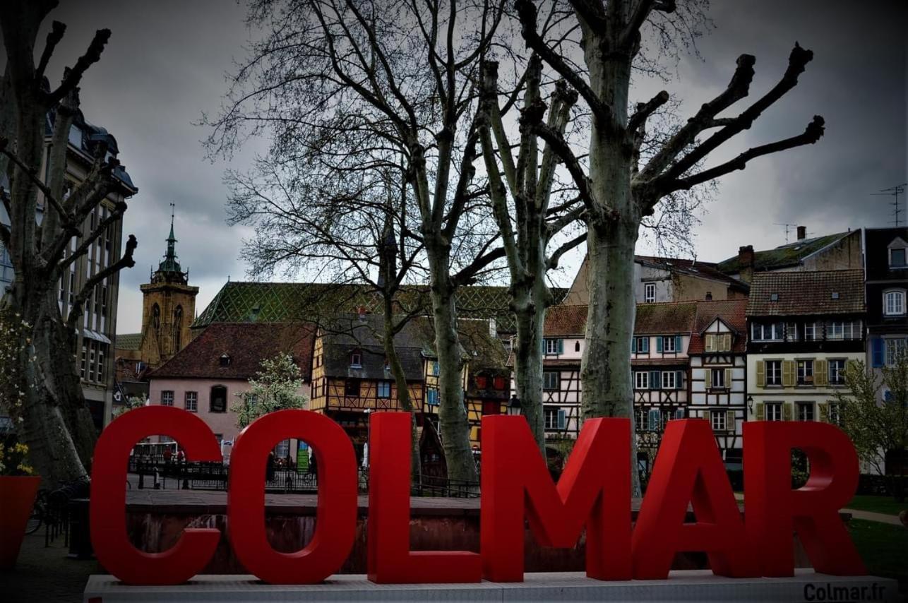 Charmant Appartement Cosy Porte De Colmar Sainte-Croix-en-Plaine Exteriör bild